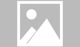 动漫设计专业学费,揭秘行业投资与回报